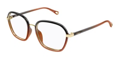 Chloé Ch0309o 007 Women's Glasses Brown Size 54 - Free Lenses - Blue Light Block Available In Orange