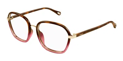 Chloé Ch0309o Women's Glasses, Tortoiseshell, Size 54