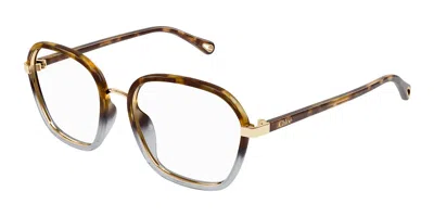 Chloé Ch0309o Women's Glasses, Tortoiseshell, Size 54