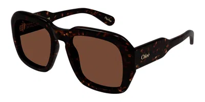 Chloé Ch0310s 002 Women's Sunglasses Tortoiseshell Size 54 In Brown