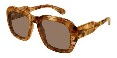 Chloé Ch0310s 005 Women's Sunglasses Tortoiseshell Size 54 In Brown