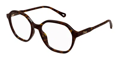 Chloé Ch0312o 002 Women's Glasses Tortoiseshell Size 53 - Free Lenses - Blue Light Block Available In Brown
