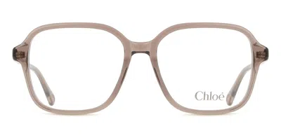 Chloé Ch0313o Women's Glasses, Clear, Size 54