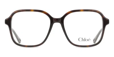 Chloé Ch0313o 002 Women's Glasses Tortoiseshell Size 54 - Free Lenses - Blue Light Block Available In Brown