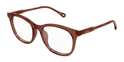 Chloé Ch0314oa Asian Fit Women's Glasses, Brown, Size 54