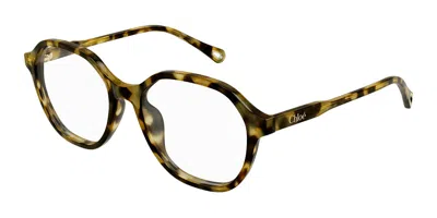 Chloé Ch0315oa Asian Fit Women's Glasses, Tortoiseshell, Size 53 In Brown
