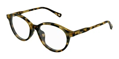 Chloé Ch0316oa Asian Fit Women's Glasses, Tortoiseshell, Size 52 In Brown