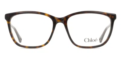 Chloé Ch0318o Women's Glasses, Tortoiseshell, Size 55 In Brown