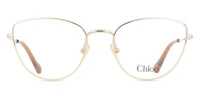 Chloé Ch0319o Women's Glasses, Gold, Size 54