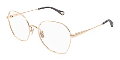 Chloé Ch0320o Women's Glasses, Gold, Size 55