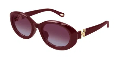 Chloé Ch0323sk Asian Fit 004 Women's Sunglasses Red Size 54