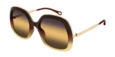 Chloé Ch0327s 003 Occhiali Da Sole Marroni Per Donna In Brown