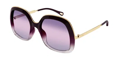 Chloé Ch0327s 004 Occhiali Da Sole Borgogna Per Donna In Burgundy