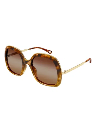 Chloé Ch0327s Sunglasses In Brown