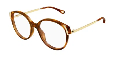 Chloé Ch0328o 002 Occhiali Da Vista Tartarugatishell Per Donna (solo Montatura) In Brown