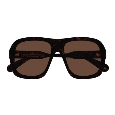 Chloé Ch0331 S Sunglasses In Brown