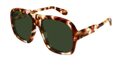 Chloé Ch0331s 004 Occhiali Da Sole Tartarugatishell Per Donna In Brown