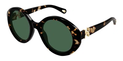 Chloé Ch0332s 002 Occhiali Da Sole Tartarugatishell Per Donna In Brown