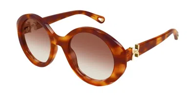 Chloé Ch0332s 003 Occhiali Da Sole Tartarugatishell Per Donna In Brown