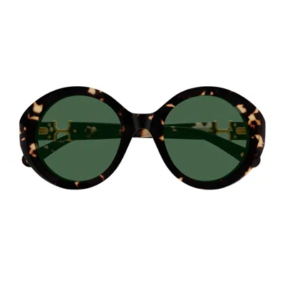 CHLOÉ CHLOÉ CH0332S MARCIE- LINEA CHLOÉ 002 HAVANA GREEN SUNGLASSES