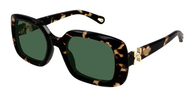 Chloé Ch0333s 002 Occhiali Da Sole Tartarugatishell Per Donna In Brown