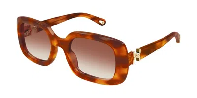 Chloé Ch0333s 003 Occhiali Da Sole Tartarugatishell Per Donna In Brown