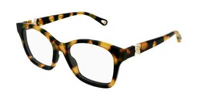 Chloé Ch0334o 002 Occhiali Da Vista Tartarugatishell Per Donna (solo Montatura) In Brown