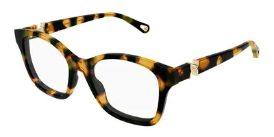 Chloé Ch0334o 007 Occhiali Da Vista Tartarugatishell Per Donna (solo Montatura) In Brown