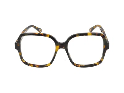 Chloé 太阳镜  Ch0335 O 002 Havana 哈瓦那 Transpa /16/140 In Black