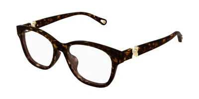 Chloé Ch0336oa Asian Fit 002 Women's Glasses Tortoiseshell Size 53 - Free Lenses - Blue Light Block Availa In Brown