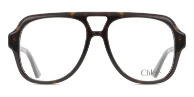 Chloé Ch0339o 002 Women's Glasses Tortoiseshell Size 56 - Free Lenses - Blue Light Block Available In Brown