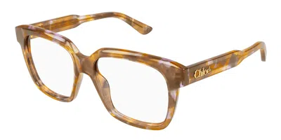 Chloé Ch0340o 010 Occhiali Da Vista Tartarugatishell Per Donna (solo Montatura) In Brown