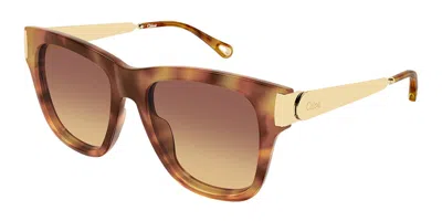 Chloé Ch0349s 002 Women's Sunglasses Tortoiseshell Size 54 In Pink