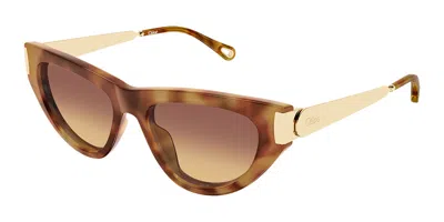 Chloé Ch0350s 002 Women's Sunglasses Tortoiseshell Size 54 In Pattern