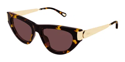 Chloé Ch0350s 003 Women's Sunglasses Tortoiseshell Size 54 In Brown