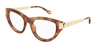 Chloé Ch0352o Women's Glasses, Tortoiseshell, Size 53 In Brown