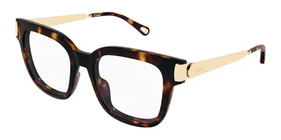 Chloé Ch0353o 002 Women's Glasses Tortoiseshell Size 52 - Free Lenses - Blue Light Block Available In Brown
