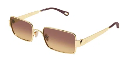 Chloé Ch0354s 002 Women's Sunglasses Gold Size 53 In Brown