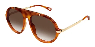 Chloé Ch0357s 002 Women's Sunglasses Tortoiseshell Size 58 In Blue