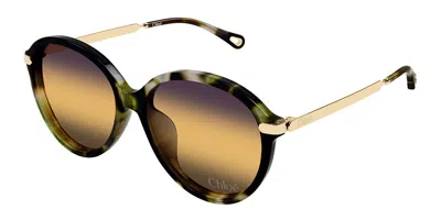 Chloé Ch0358sk Asian Fit 003 Women's Sunglasses Tortoiseshell Size 59 In Neutral