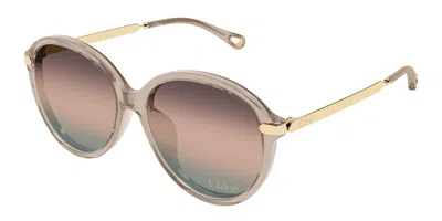 Chloé Ch0358sk Asian Fit 005 Women's Sunglasses Brown Size 59