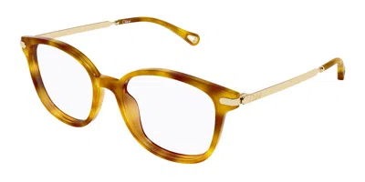 Chloé Ch0359o 002 Women's Glasses Tortoiseshell Size 53 - Free Lenses - Blue Light Block Available In White