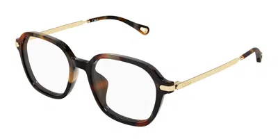 Chloé Ch0361oa Asian Fit 002 Women's Glasses Tortoiseshell Size 52 - Free Lenses - Blue Light Block Availa In Pink