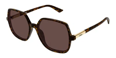 Chloé Ch0362s 002 Women's Sunglasses Tortoiseshell Size 55 In Red