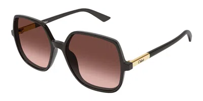 Chloé Ch0362s 003 Women's Sunglasses Grey Size 55 In Pattern