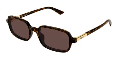 Chloé Ch0363s 002 Occhiali Da Sole Tartarugatishell Per Donna In Purple
