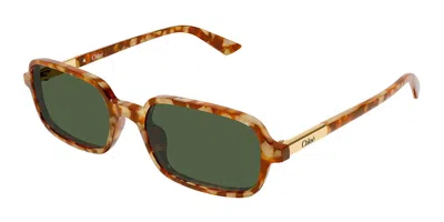 Chloé Ch0363s 003 Occhiali Da Sole Tartarugatishell Per Donna In Red
