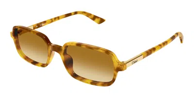 Chloé Ch0363s 004 Women's Sunglasses Tortoiseshell Size 53 In Brown