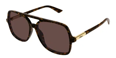 Chloé Ch0364s 002 Occhiali Da Sole Tartarugatishell Per Donna In Purple