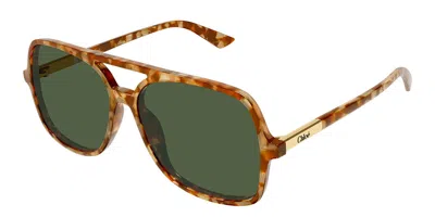 Chloé Ch0364s 003 Women's Sunglasses Tortoiseshell Size 57 In Brown